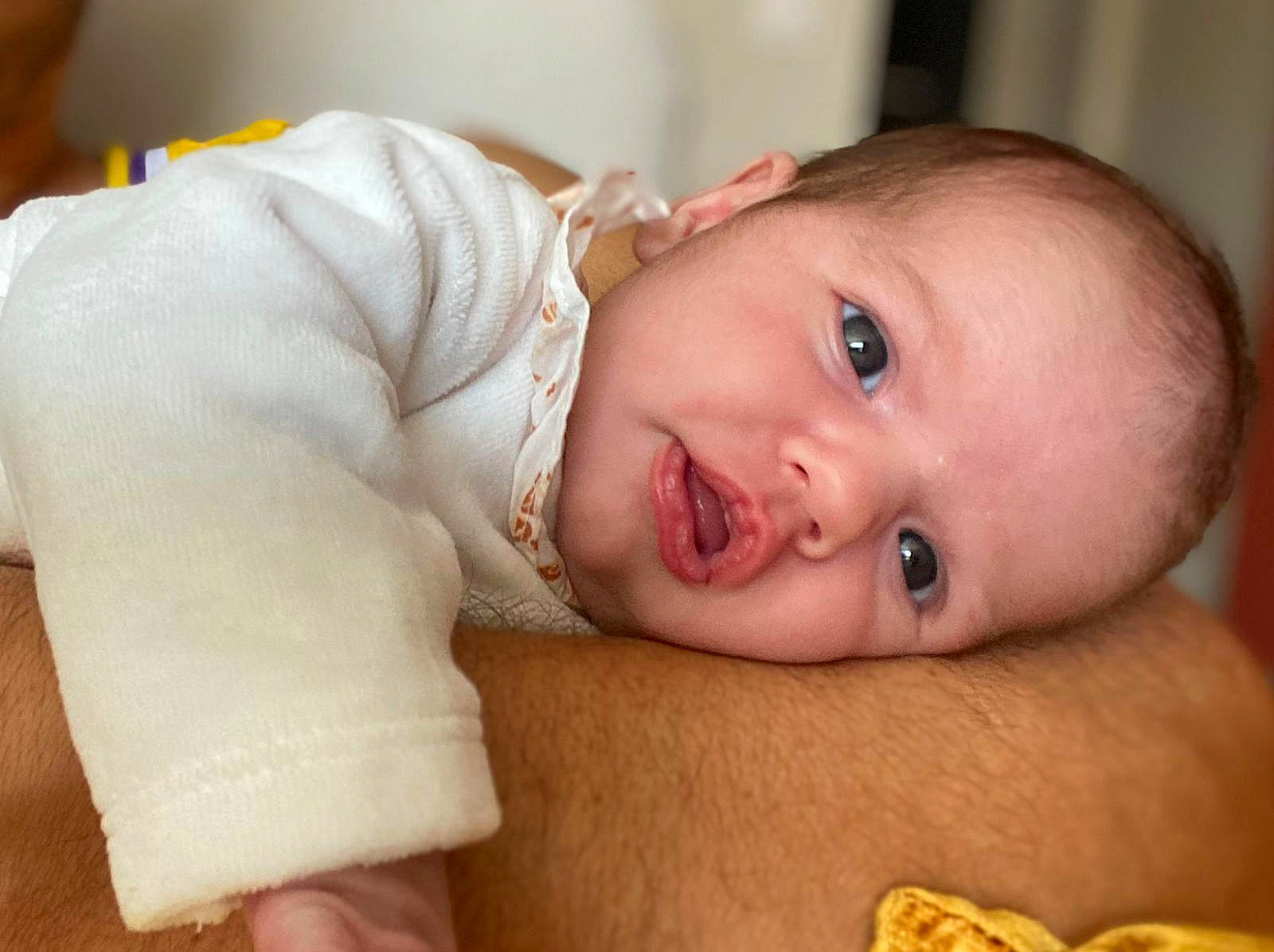 Alba a rejoint le concours — aidez-le/la à gagner de superbes lots ! baby, baby_toddler_clothing, cheek, chin, eye, eyebrow, face, facial_expression, happy, human_body, iris, lip, mouth, nose, person, skin, sleeve, smile, toddler, wood