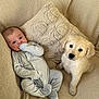 Miles is registered to the contest to win money with this photo: baby, puppy, dog, infant, couch, pillow, onesie, cute, pet, animal, child, face, fur, relaxing, indoors, soft, texture, beige, smiling, companion