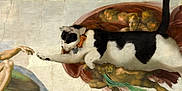 Panda joined the competition — help win amazing prizes! cat, black_and_white_cat, bow_tie, painting, classical_art, michelangelo, creation_of_adam, hand, fresco, ceiling_art, religious_art, superimposed, edited_image, humor, surreal, animal, artwork, famous_painting, gesture, interaction