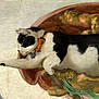 cat, black_and_white_cat, bow_tie, painting, classical_art, michelangelo, creation_of_adam, hand, fresco, ceiling_art, religious_art, superimposed, edited_image, humor, surreal, animal, artwork, famous_painting, gesture, interaction