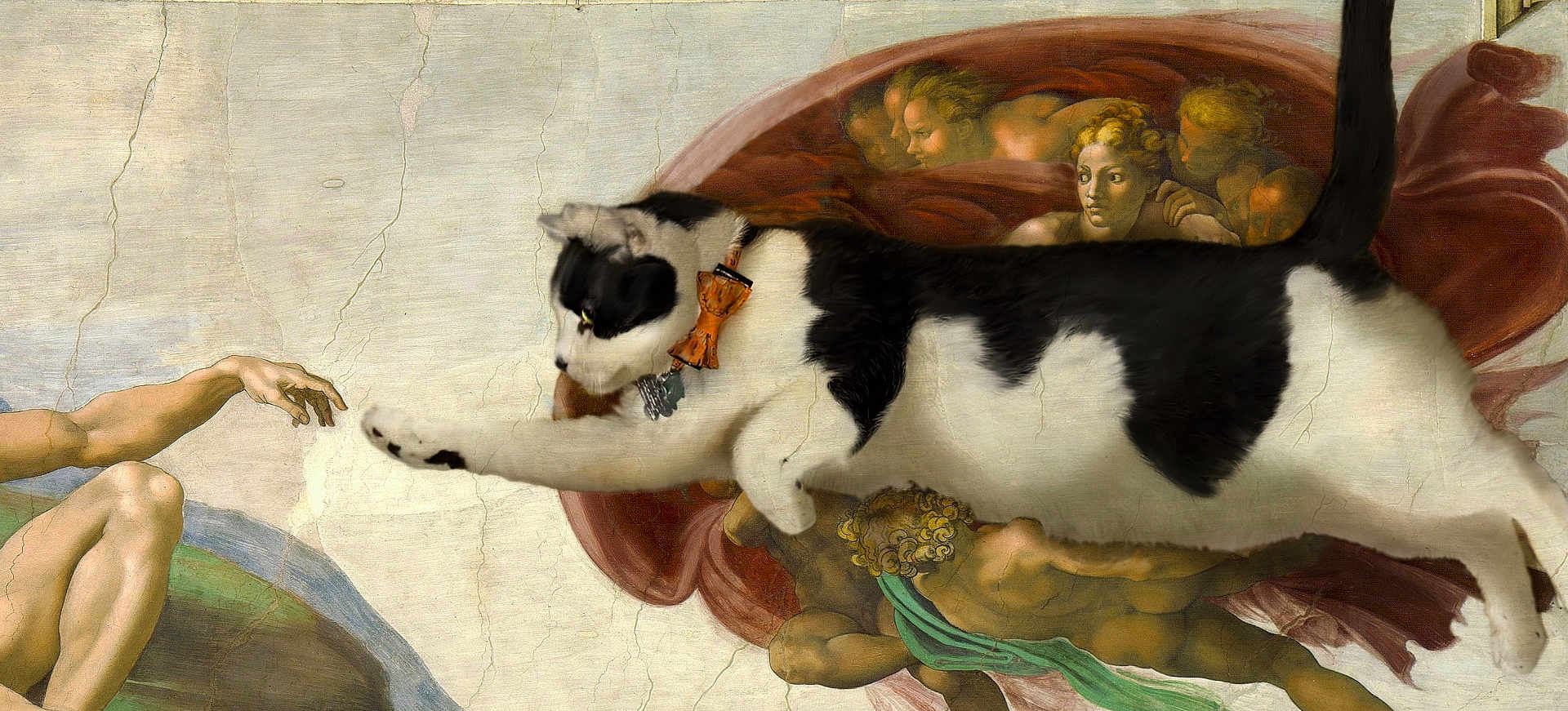 Panda joined the competition — help win amazing prizes! cat, black_and_white_cat, bow_tie, painting, classical_art, michelangelo, creation_of_adam, hand, fresco, ceiling_art, religious_art, superimposed, edited_image, humor, surreal, animal, artwork, famous_painting, gesture, interaction