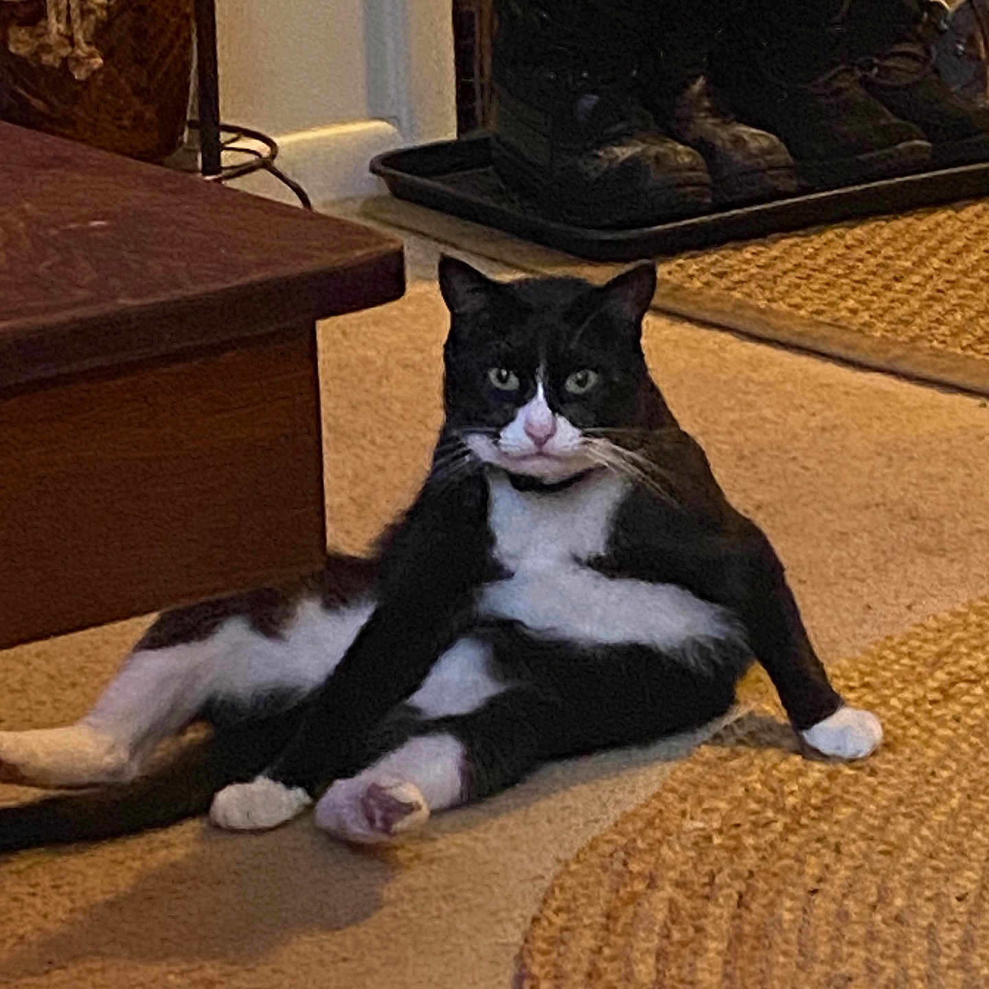 Felix