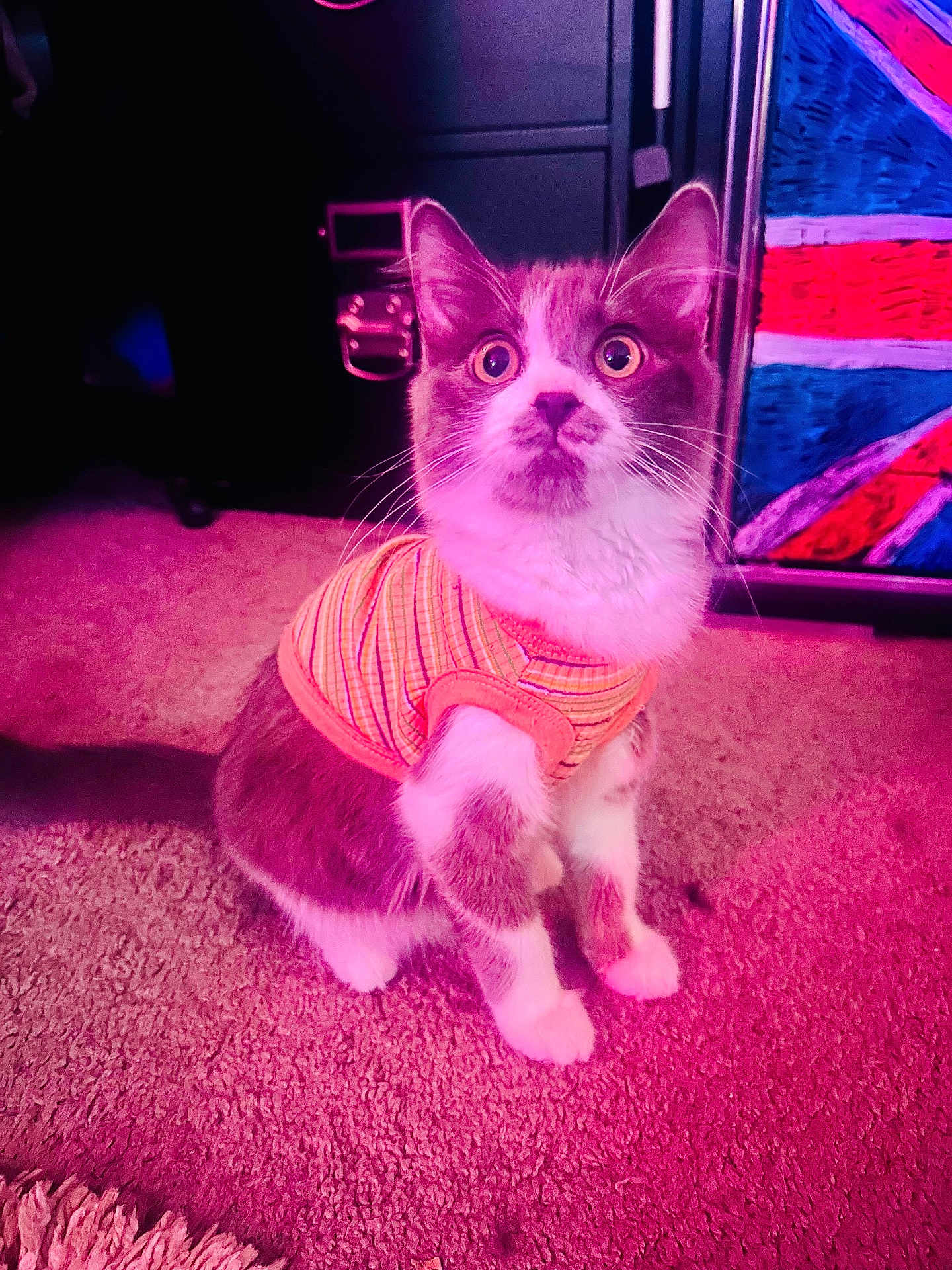 Diego