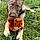 Arya