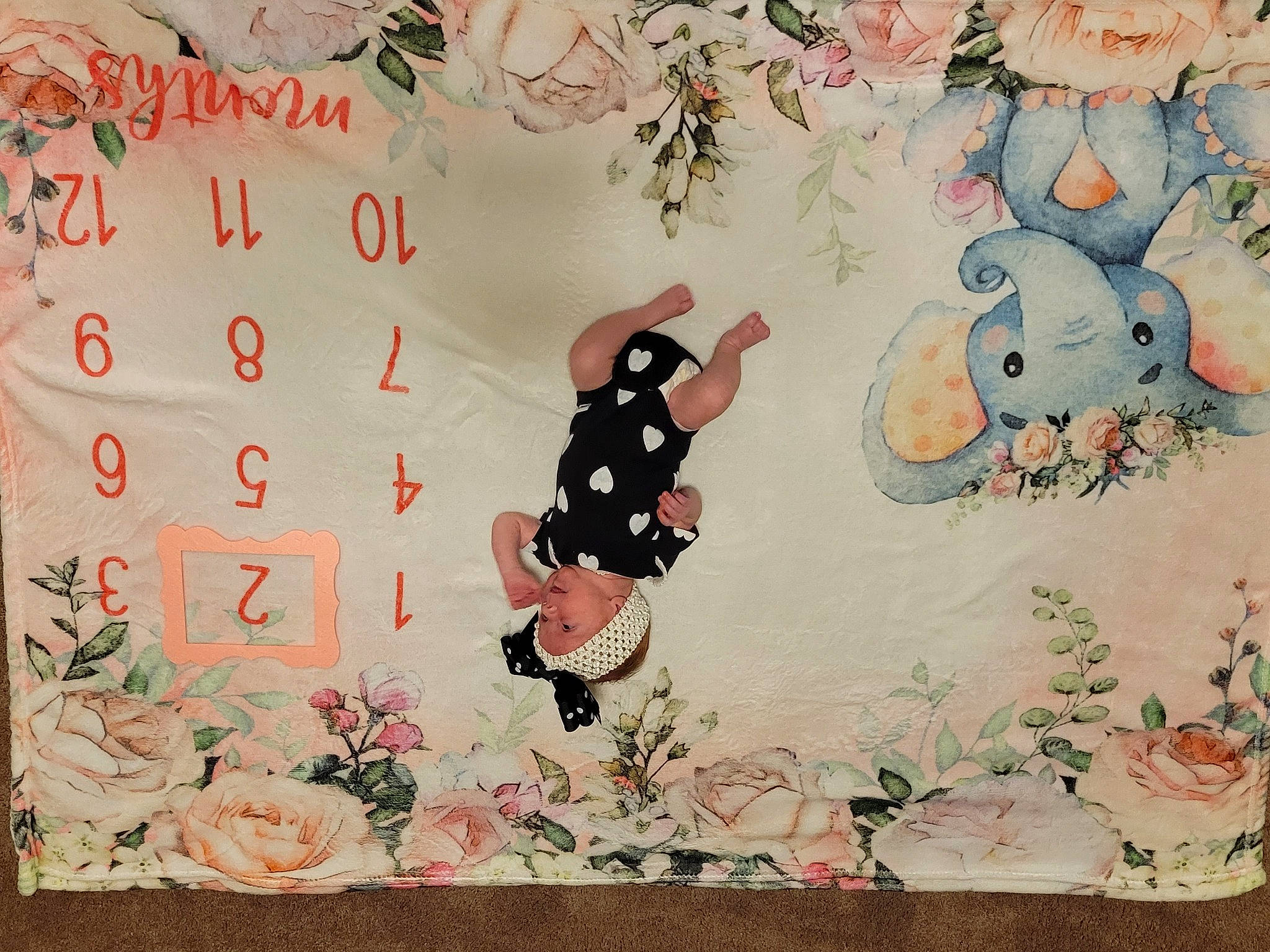 Alexandra is registered to the contest to win money with this photo: art, botany, cartoon, creative_arts, fawn, floral_design, font, graphics, happy, headwear, illustration, leaf, organism, paper, pattern, person, petal, plant, rectangle, textile