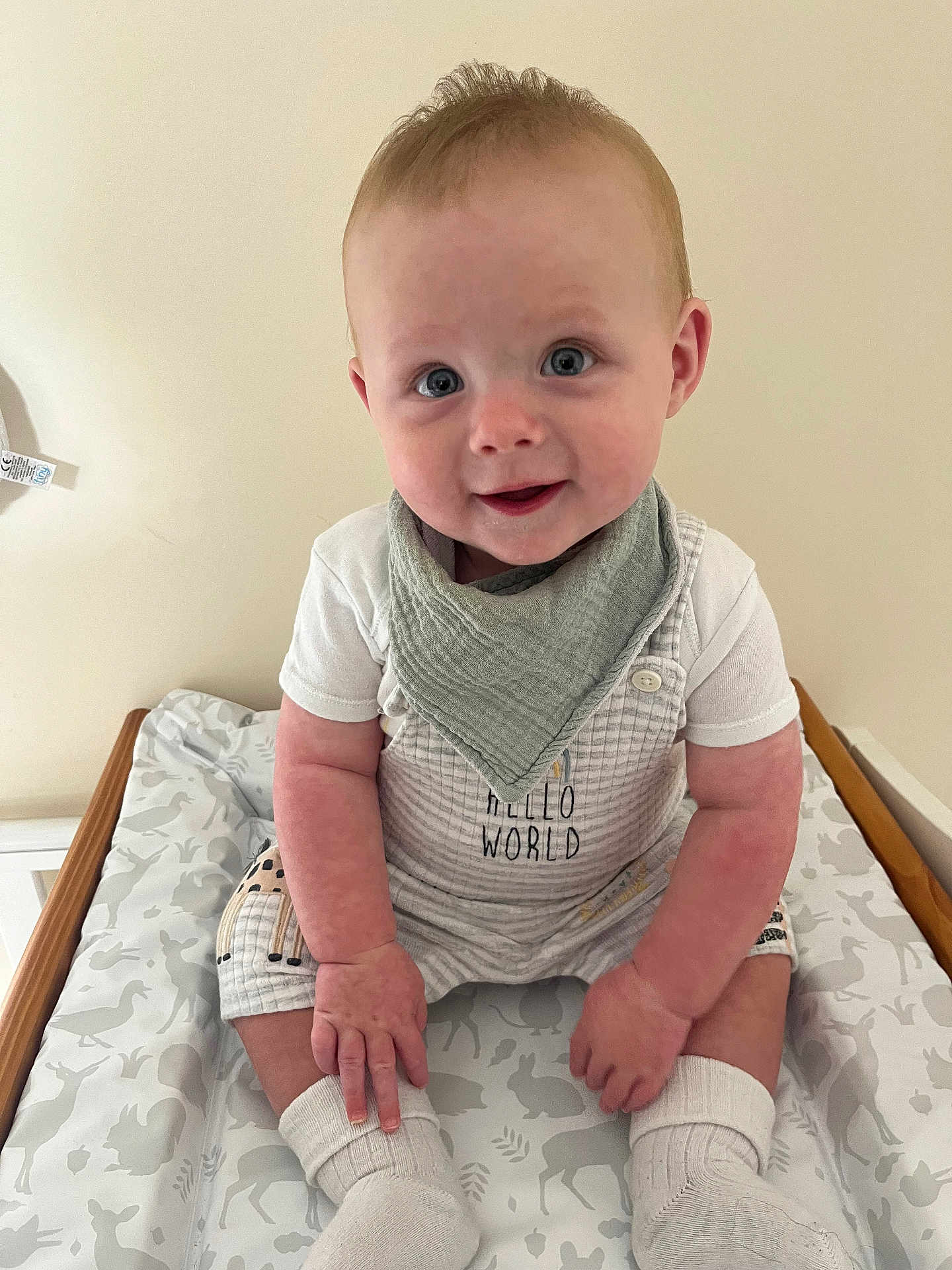 Freddie is registered to the contest to win money with this photo: baby, child, smiling, blue_eyes, bib, socks, sitting, cute, infant, face, clothing, patterned_bedding, indoor, portrait, happy, person, young_child, light_skin, short_hair, white_clothing