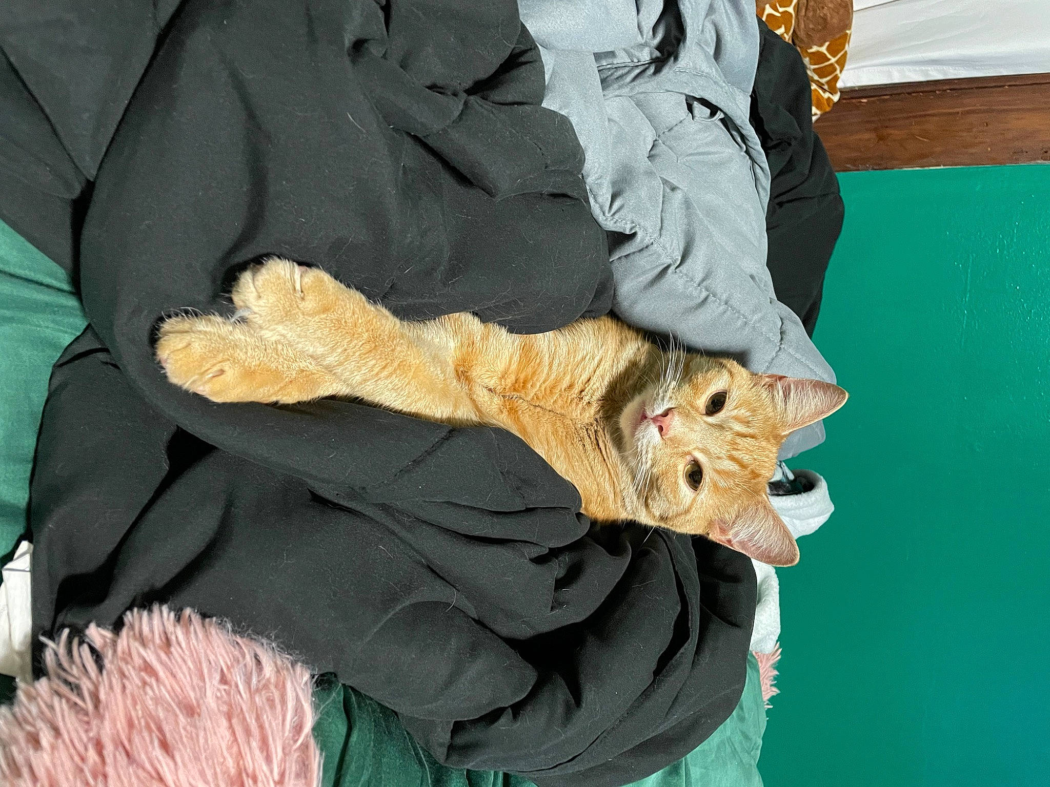 Jim joined the competition — help win amazing prizes! art, camouflage, denim, feather, felidae, fur, glove, military_camouflage, pattern, sculpture, sleeve, tree, trunk, uniform, water, wing, wood