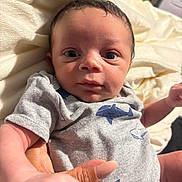 Javien joined the competition — help win amazing prizes! baby, infant, child, onesie, shark_print, gray_clothing, hand, blanket, soft_texture, curious_expression, wide_eyes, portrait, indoor, person, newborn, cute, gaze, skin, short_hair, human