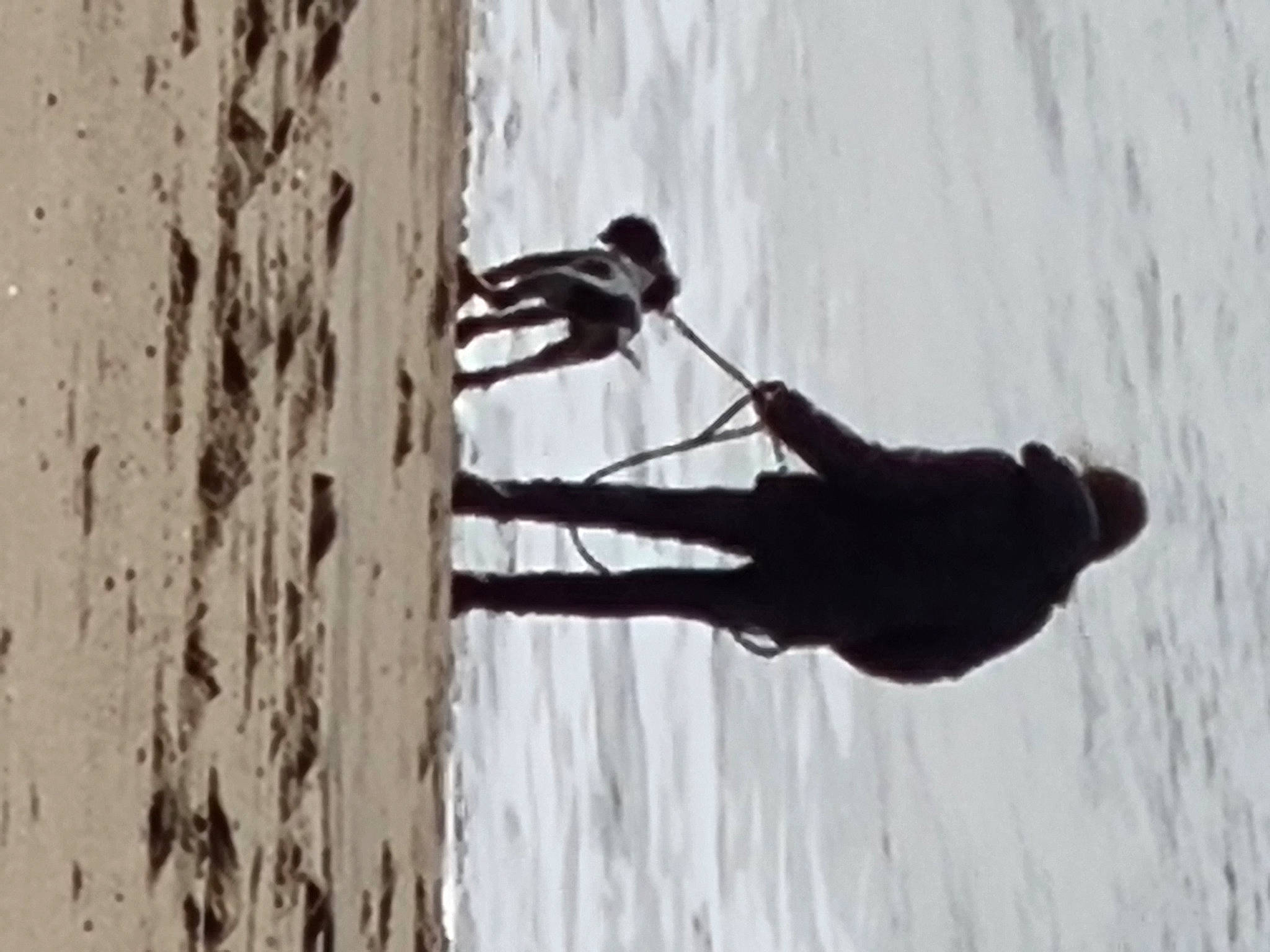 Speedy participe au concours pour gagner de l'argent avec cette photo : adventure, extreme_sport, freezing, fun, geological_phenomenon, landscape, recreation, shadow, slope, snow, sport_climbing, sports, sports_equipment, tree, water, window, winter, winter_sport, wire, wood