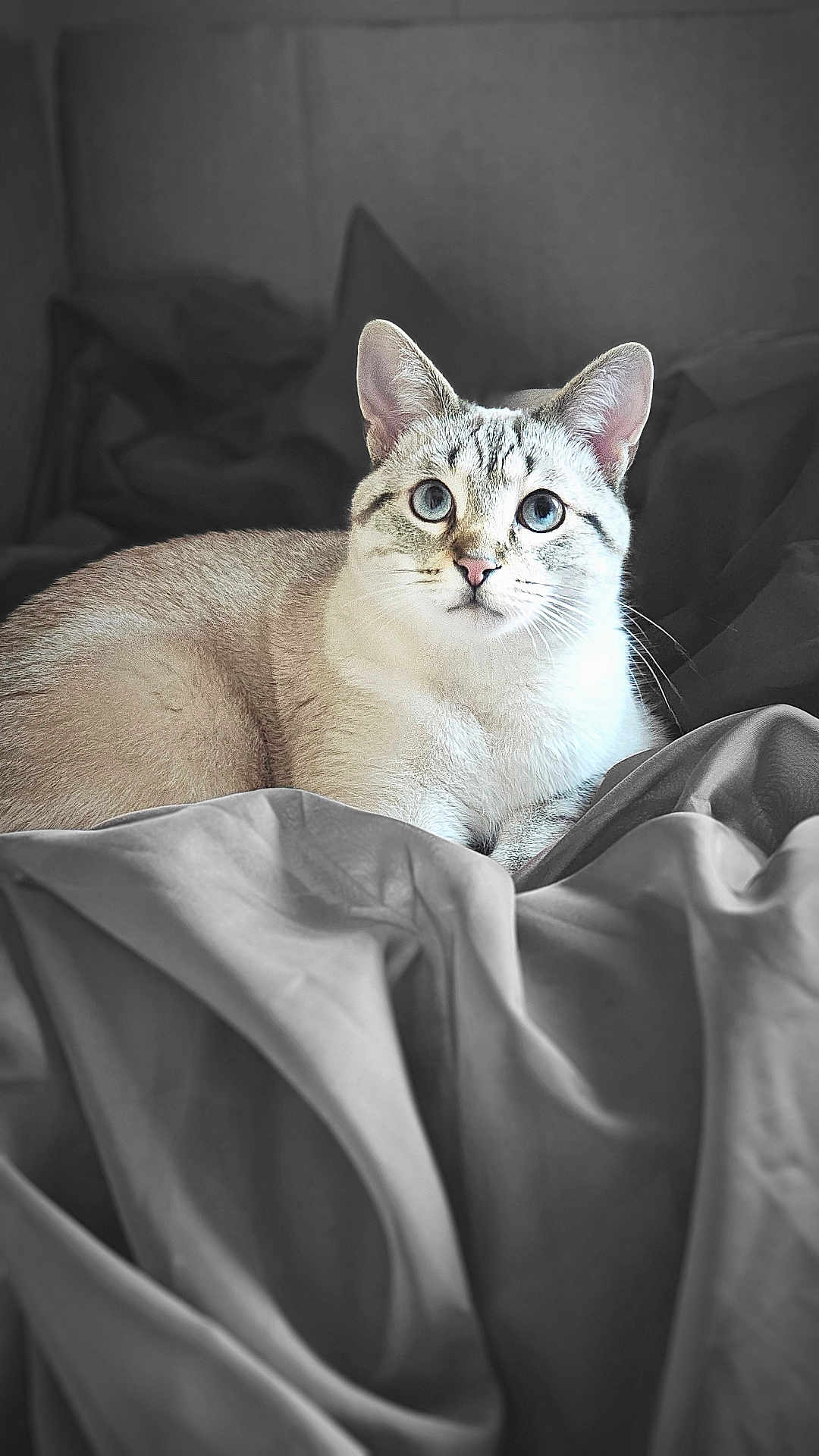 Yuki