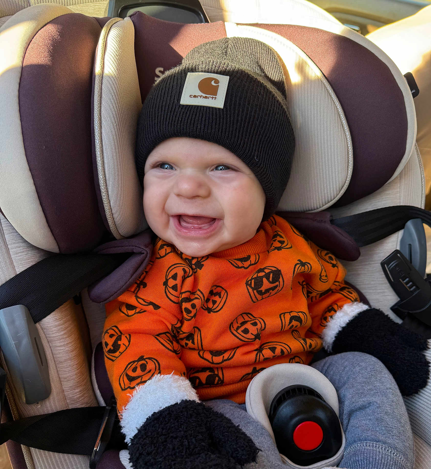 Chandler joined the competition — help win amazing prizes! baby, child, car_seat, beanie, mittens, sweater, pumpkin_pattern, smile, happy, clothing, seatbelt, infant, cute, warm_clothing, autumn, indoor, person, headwear, portrait, cozy