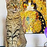cat, tabby_cat, sitting, portrait, green_eyes, whiskers, striped_fur, indoor, wall_art, cat_painting, colorful, decorative_art, home_interior, shelf, purple_ball, electronics, black_and_white, framed_art, furniture, photography