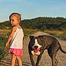 child, girl, dog, pit_bull, pet, outdoor, country_road, rural, landscape, sunny, daylight, blue_sky, green_hills, standing, walking, animal, companion, portrait, summer, happy