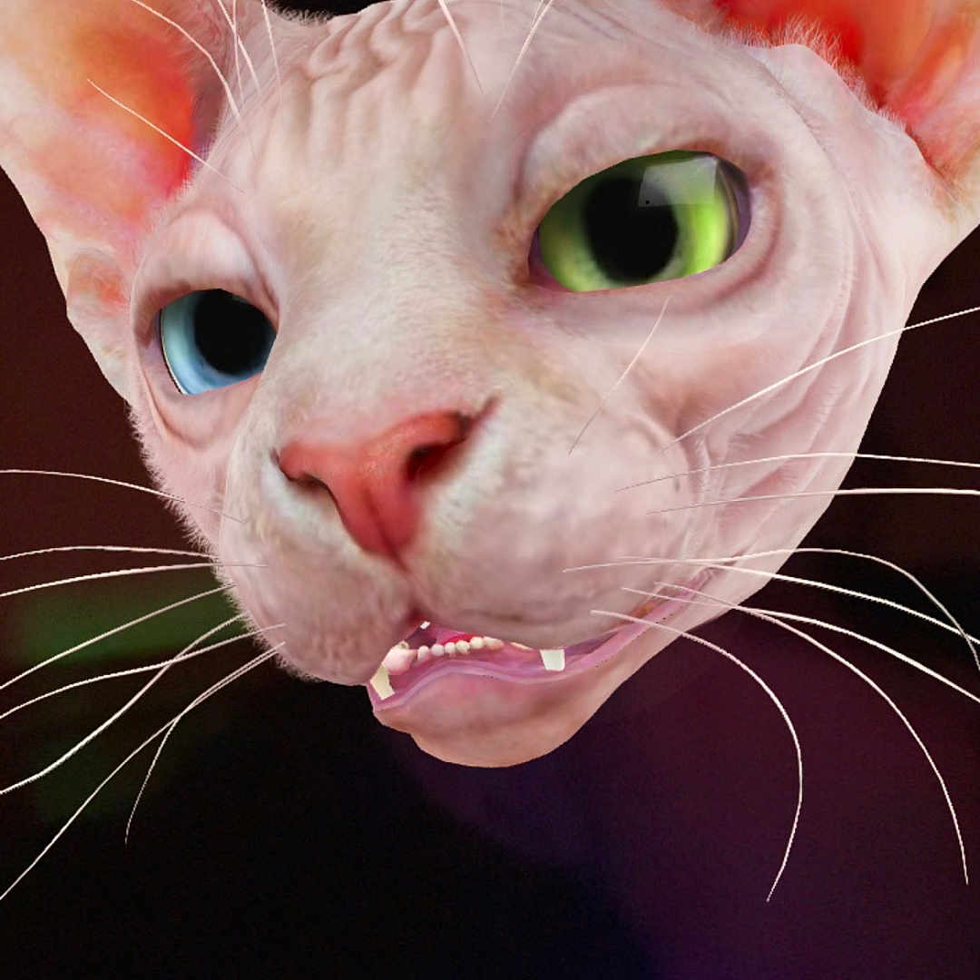 Fluffy is registered to the contest to win money with this photo: cat, hairless_cat, sphynx, close_up, heterochromia, green_eye, blue_eye, whiskers, pink_nose, pet, animal, face, curious, feline, portrait, indoor, dark_background, colorful_lights, ears, expression
