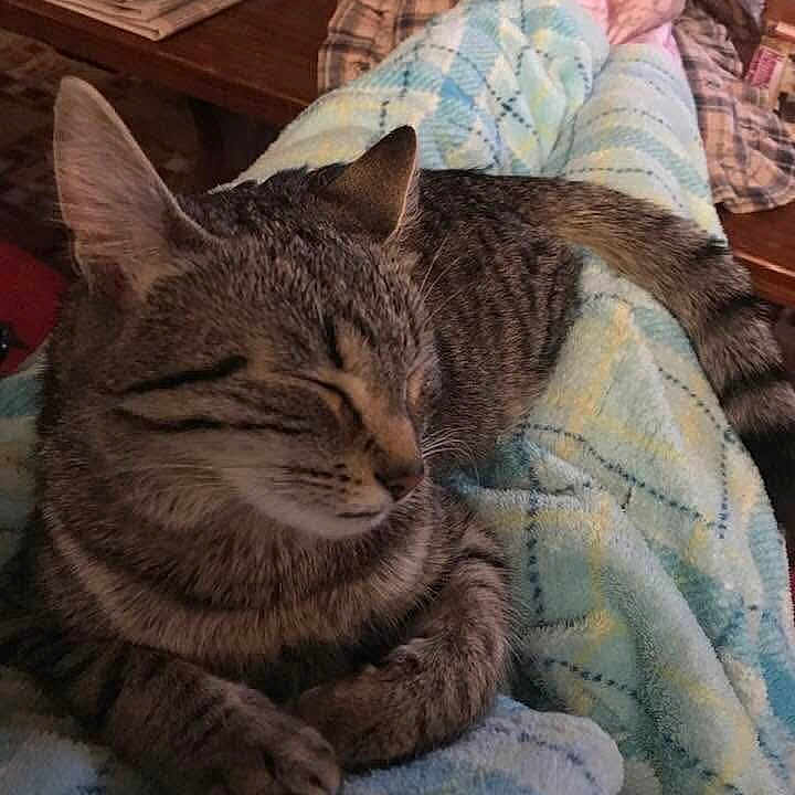 Fluffy