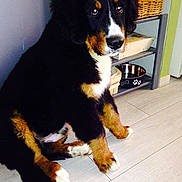 Eliot a rejoint le concours — aidez-le/la à gagner de superbes lots !