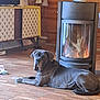 animal, brown_wall, cabinet, cozy, curious, dog, ears, fireplace, floor_tile, fur, home_interior, indoor, large_dog, pet, relaxed, resting, rustic, snout, warm_light, wooden_floor