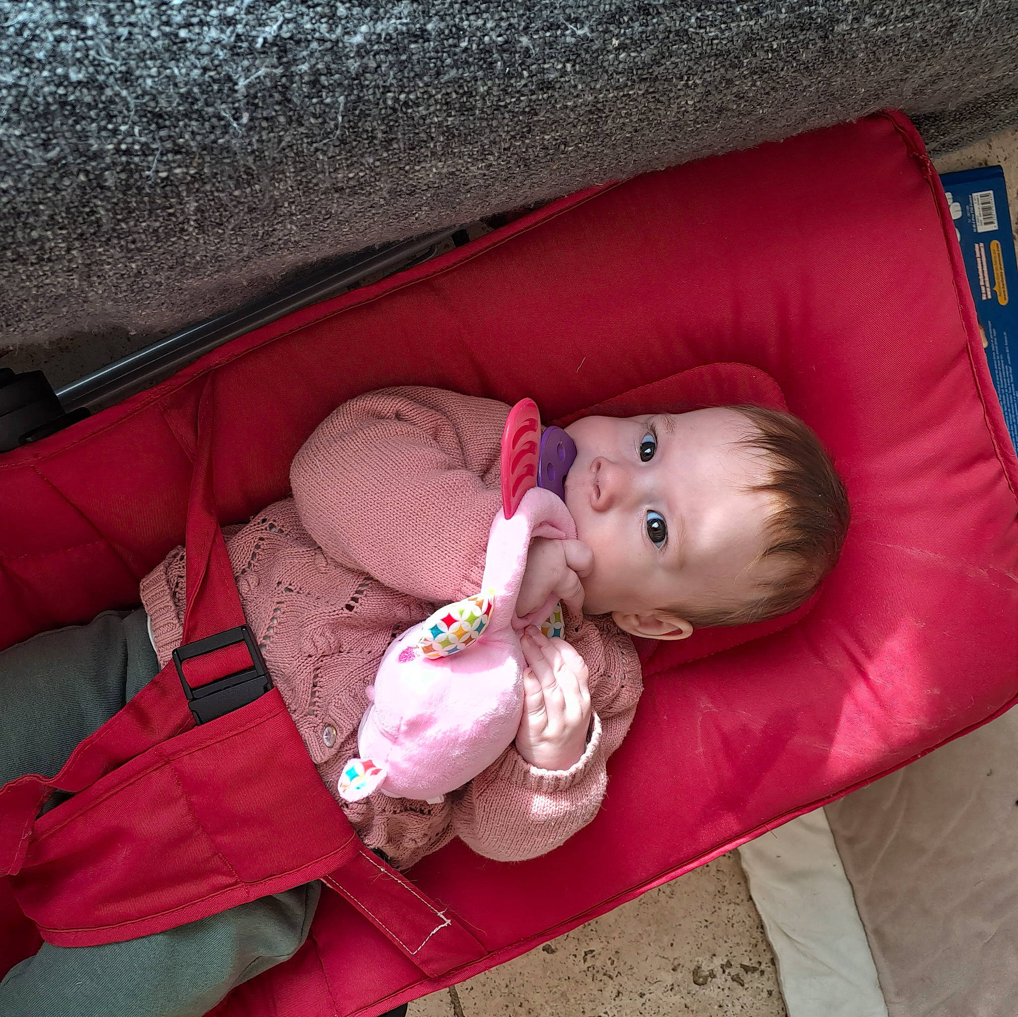 Maina a rejoint le concours — aidez-le/la à gagner de superbes lots ! baby, baby_products, baby_toddler_clothing, baby_toys, carmine, cheek, child, comfort, doll, flooring, linens, magenta, person, pink, room, sitting, stuffed_toy, textile, toddler, toy