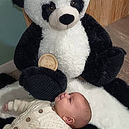 Adam participe au concours pour gagner de l'argent avec cette photo : 2_months, baby, black_and_white, child, cozy, cute, indoors, infant, knitted_sweater, lying_down, milestone_sign, person, plush_panda, portrait, smiling, soft_rug, stuffed_animal, toy, wooden_floor, wooden_wall