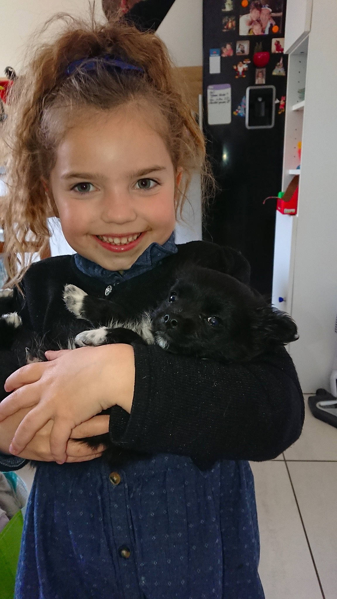 Papayou participe au concours pour gagner de l'argent avec cette photo : canidae, child, dog_breed, ear, fur, joy, patterdale_terrier, person, sporting_group