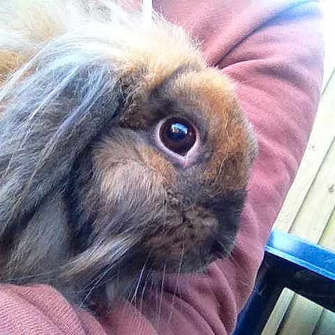 Shelia is registered to the contest to win money with this photo: