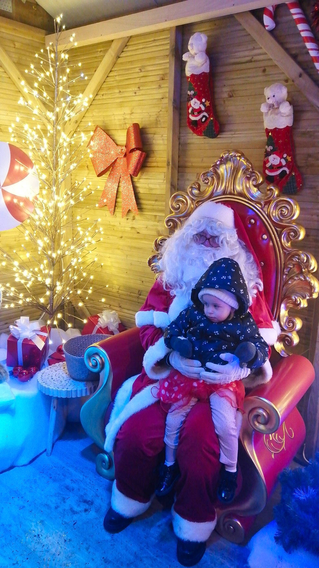 Jade a rejoint le concours — aidez-le/la à gagner de superbes lots ! blue, christmas, christmas_decoration, christmas_eve, christmas_lights, christmas_ornament, decoration, electric_blue, event, headwear, holiday, holiday_ornament, ornament, person, plant, red, santa_claus, tradition, tree, window