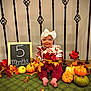 baby, blackboard, clothing, costume, face, flower, flowerarrangement, food, hat, head, leaf, person, photography, plant, portrait, pottedplant, produce, pumpkin, squash, vegetable