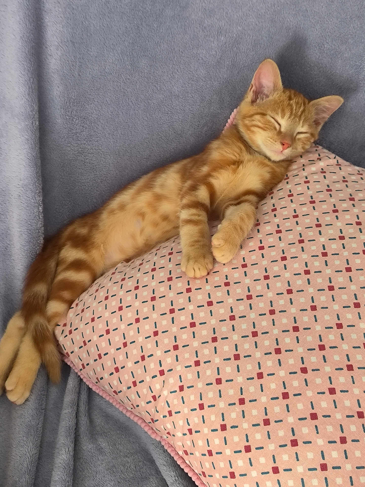 Pepito