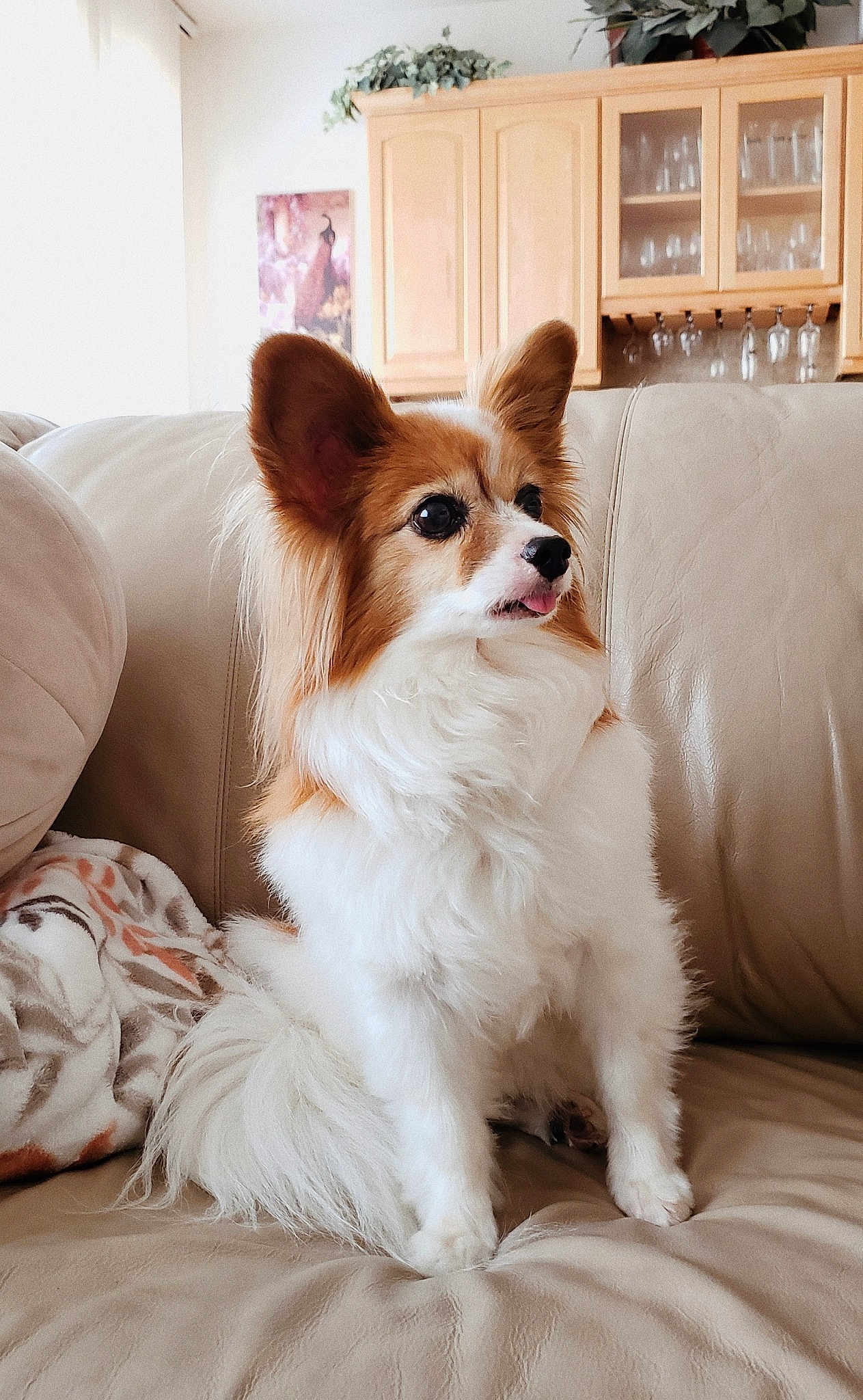 Bea
