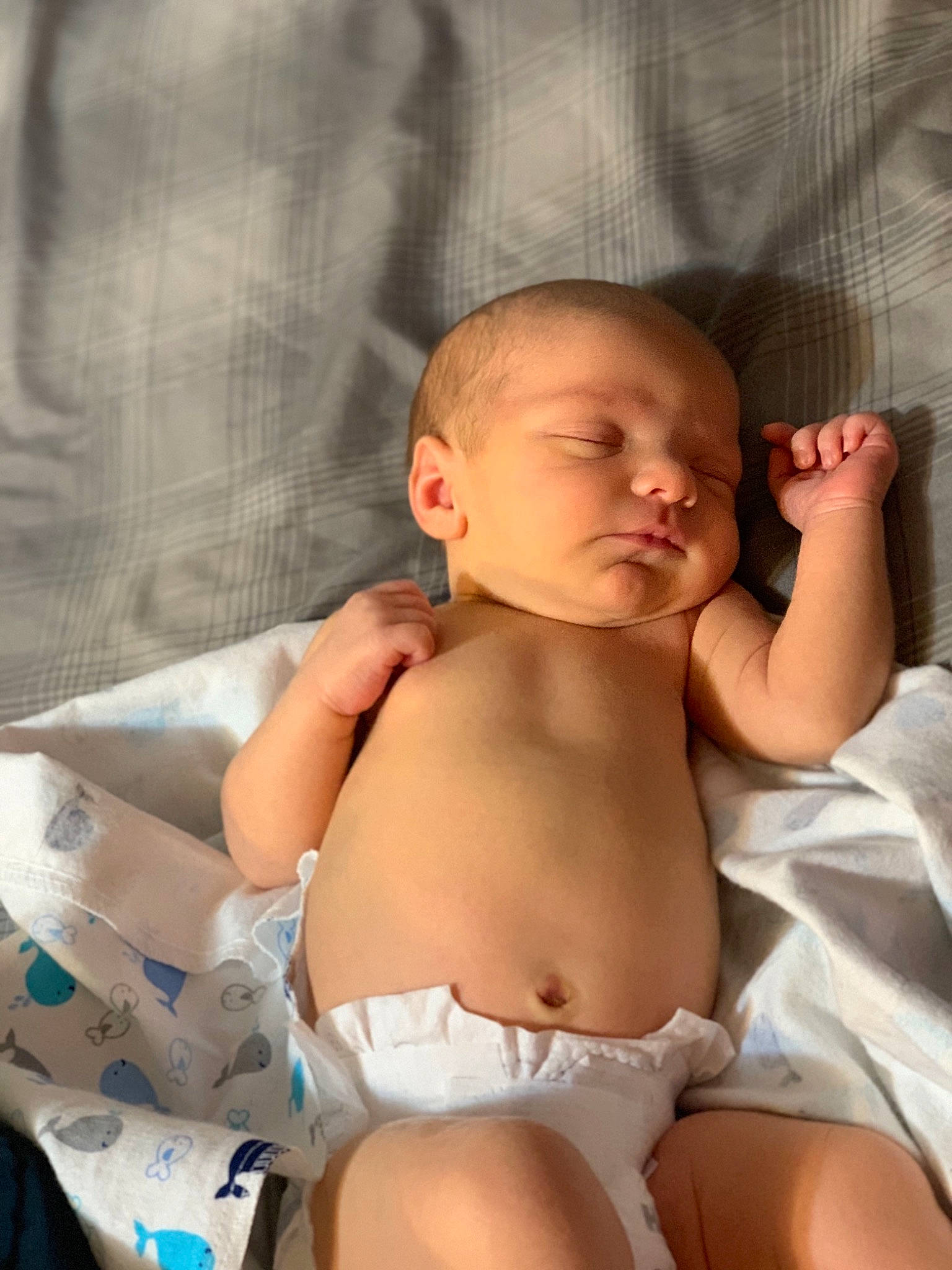 Ryder joined the competition — help win amazing prizes! abdomen, baby, child, diaper, muscle, person, toddler