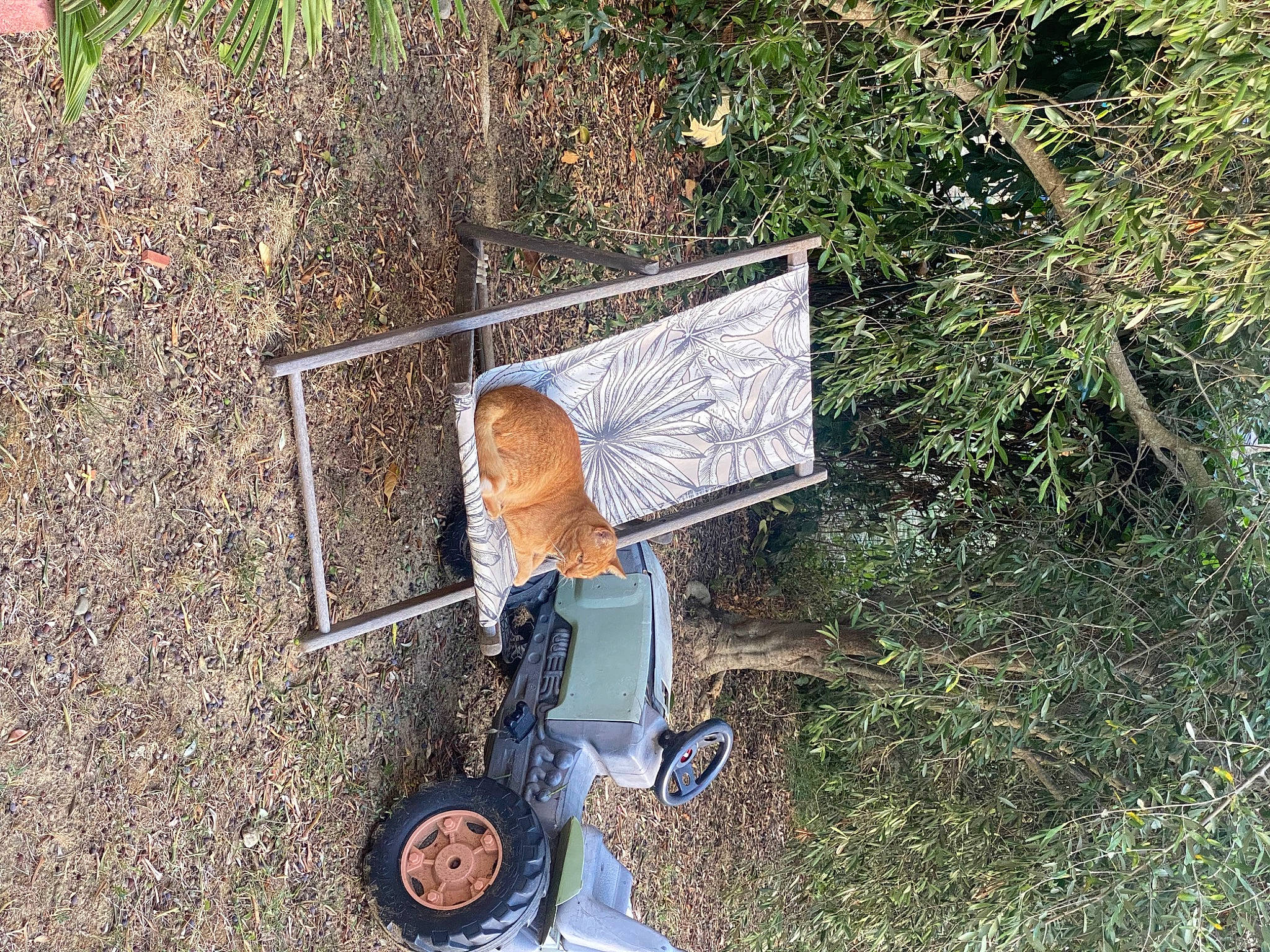 Toulouse a rejoint le concours — aidez-le/la à gagner de superbes lots ! automotive_exterior, automotive_tire, grass, grass_family, landscape, leisure, motor_vehicle, natural_environment, people_in_nature, plant, recreation, road_surface, soil, tire, tree, vehicle, vehicle_door, wheel, wood, woody_plant