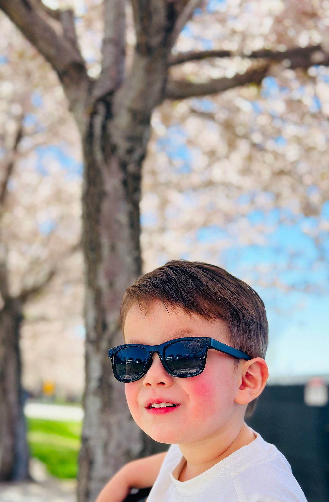 Skyler joined the competition — help win amazing prizes! beard, blossom, electric_blue, eyewear, fun, glasses, goggles, happy, joy, leisure, people_in_nature, person, plant, recreation, sky, smile, sunglasses, t_shirt, toddler, travel