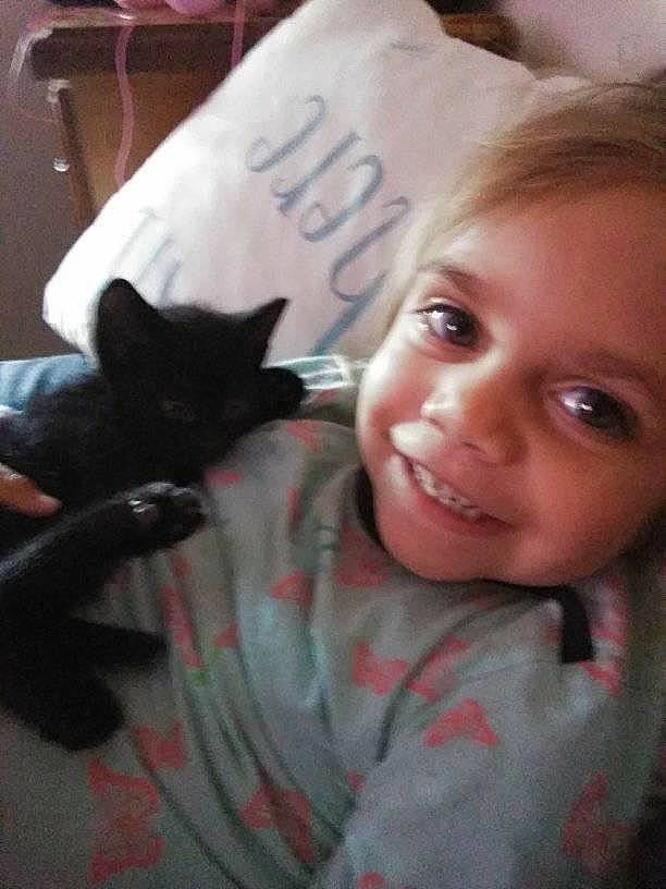 Darcy is registered to the contest to win money with this photo: cat, cheek, child, cool, ear, eye, eyebrow, face, felidae, forehead, head, lip, nose, person, photography, selfie, skin, small_to_medium_sized_cats, smile, toddler
