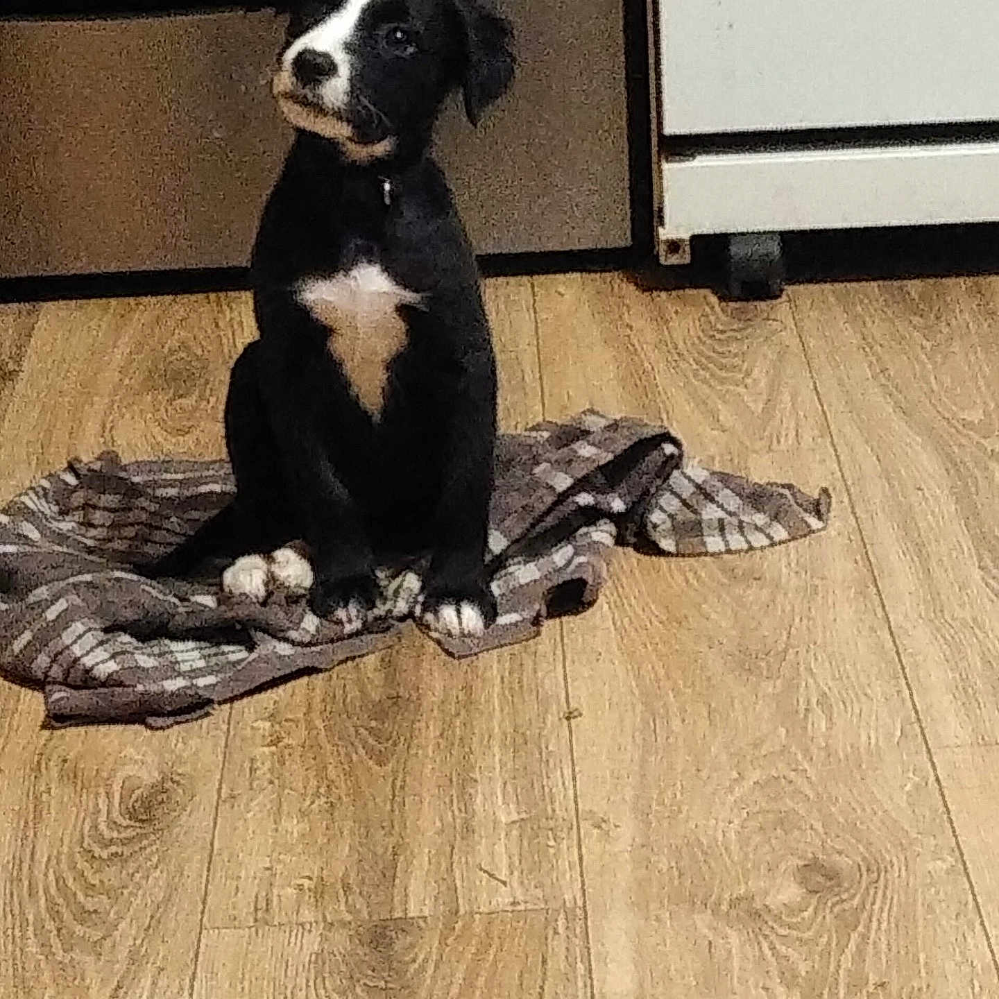 Minnie