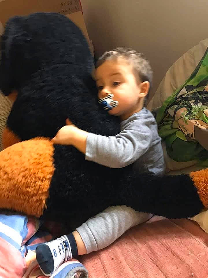 Lyvioo a rejoint le concours — aidez-le/la à gagner de superbes lots ! canidae, child, companion_dog, fur, person, plush, stuffed_toy, teddy_bear, toddler, toy