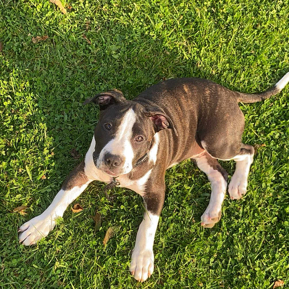 Max