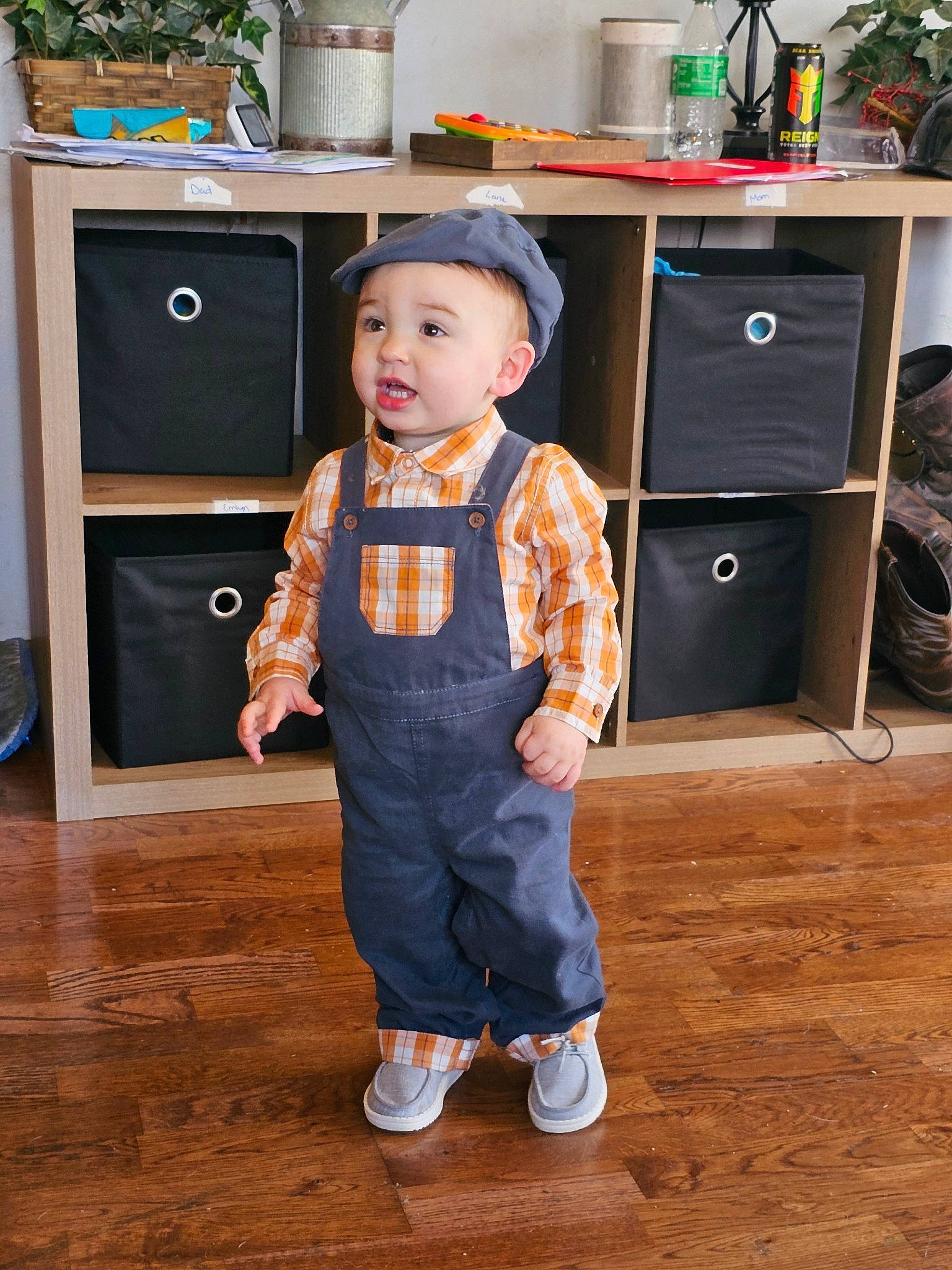 Lane is registered to the contest to win money with this photo: baby_toddler_clothing, cabinetry, chest_of_drawers, child, cupboard, drawer, dresser, floor, flooring, hardwood, hat, headwear, houseplant, person, room, shelving, sleeve, standing, toddler, varnish