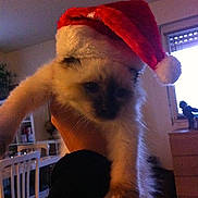 Jam'roc a rejoint le concours — aidez-le/la à gagner de superbes lots !