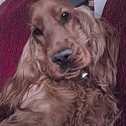 Candy a rejoint le concours — aidez-le/la à gagner de superbes lots !