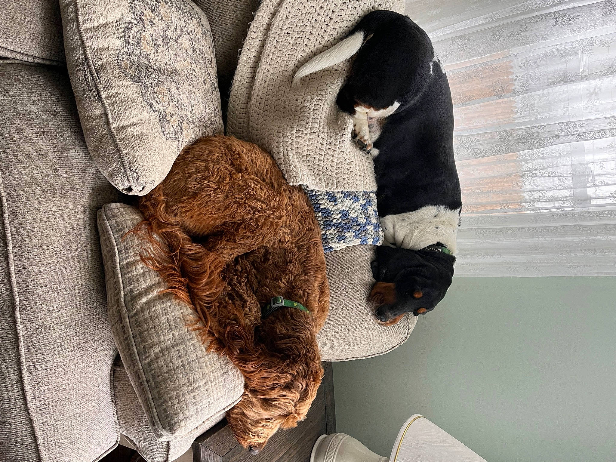 Ronald Reagan is registered to the contest to win money with this photo: beard, child, comfort, fashion_accessory, fashion_design, felidae, fur, hoodie, jacket, knitting, linens, nap, outerwear, pattern, room, sleeve, thread, wool, woolen, woven_fabric