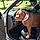 Tazz