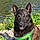 Pixel