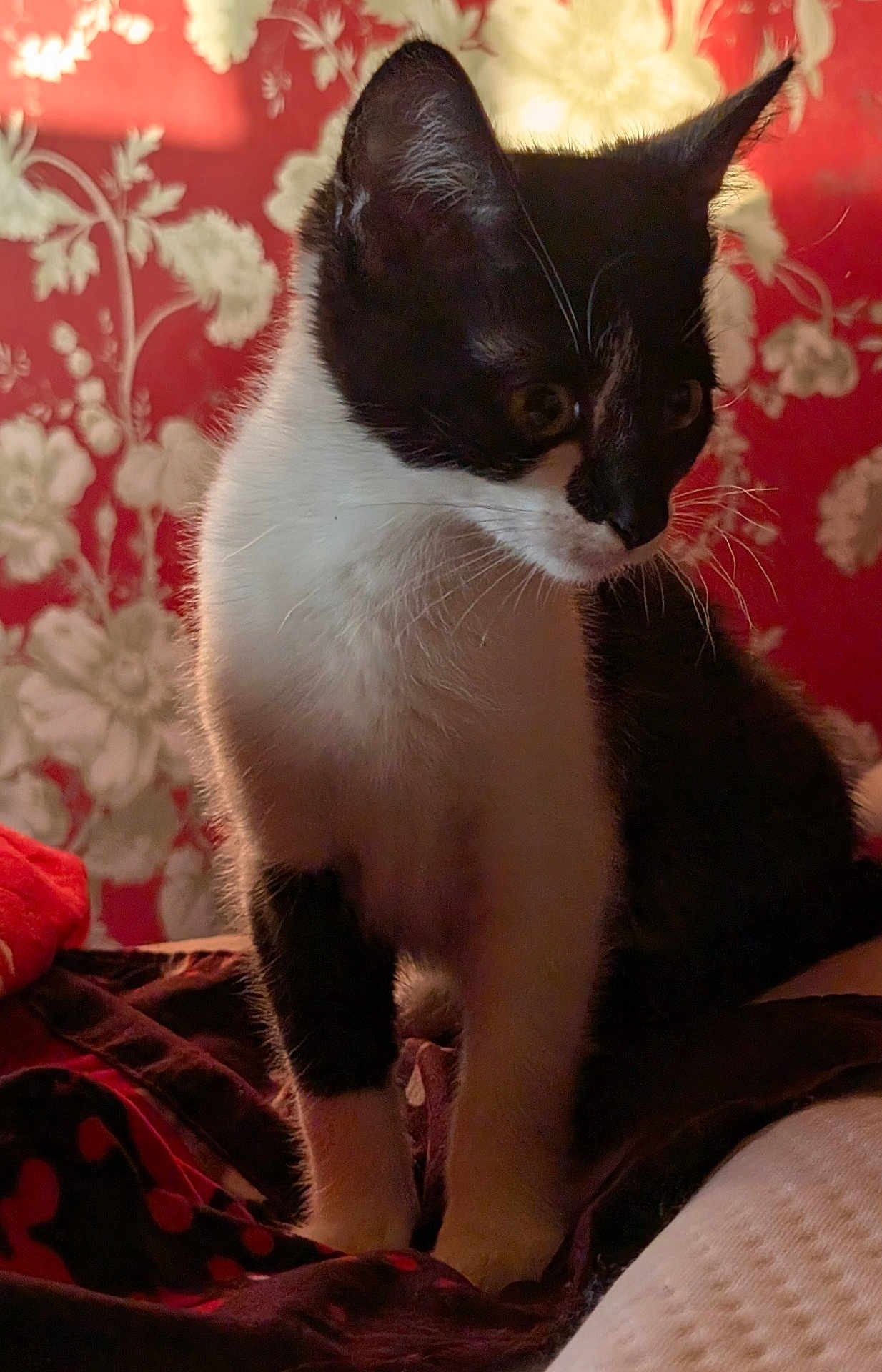 Luna
