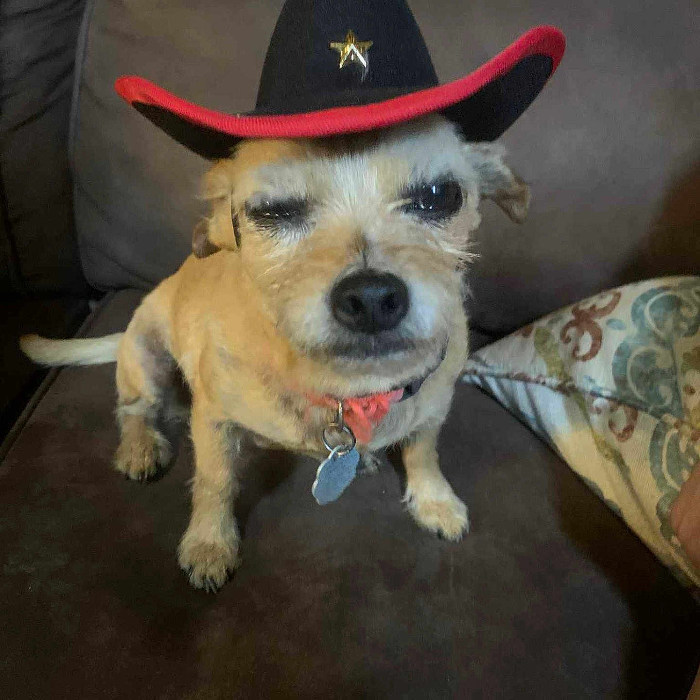 Layla Beans