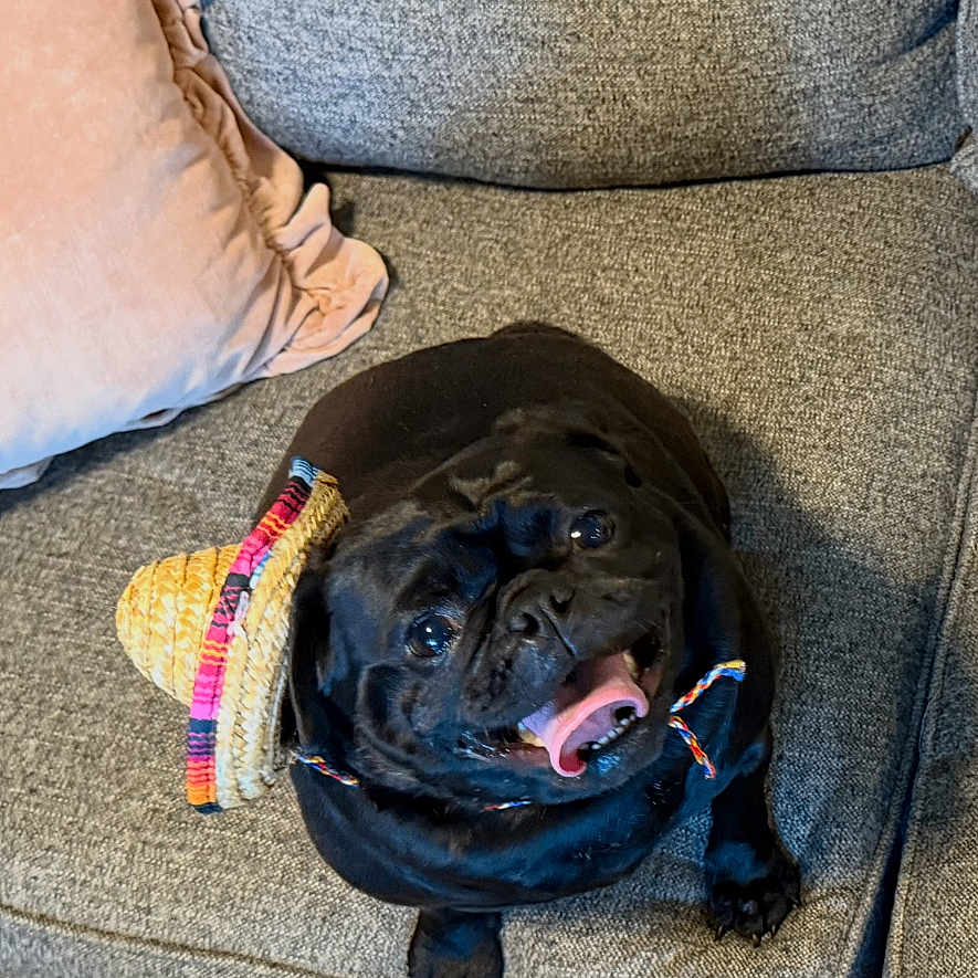Mabel