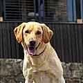 Charlie H.