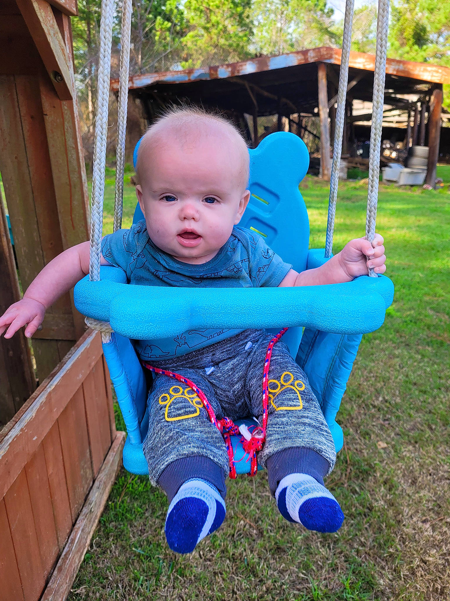 Austin is registered to the contest to win money with this photo: baby, baby_toddler_clothing, child, electric_blue, eye, facial_expression, fun, grass, happy, human_settlement, leisure, outdoor_play_equipment, person, plant, public_space, recreation, summer, swing, t_shirt, toddler