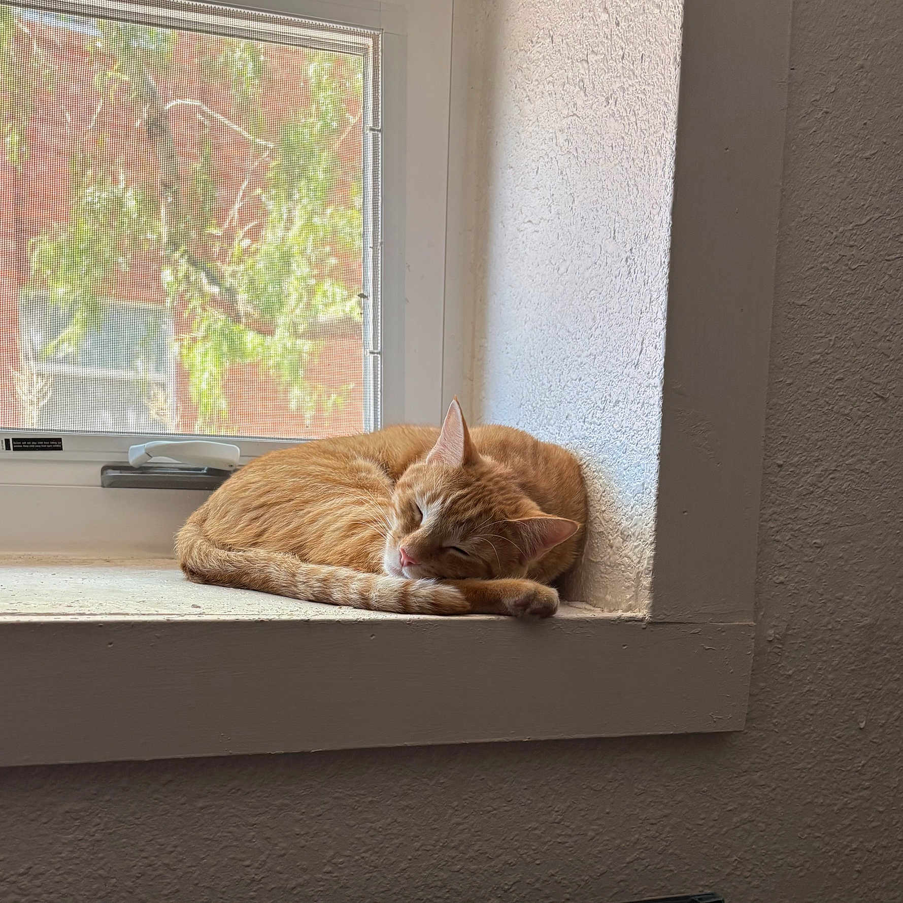Walter
