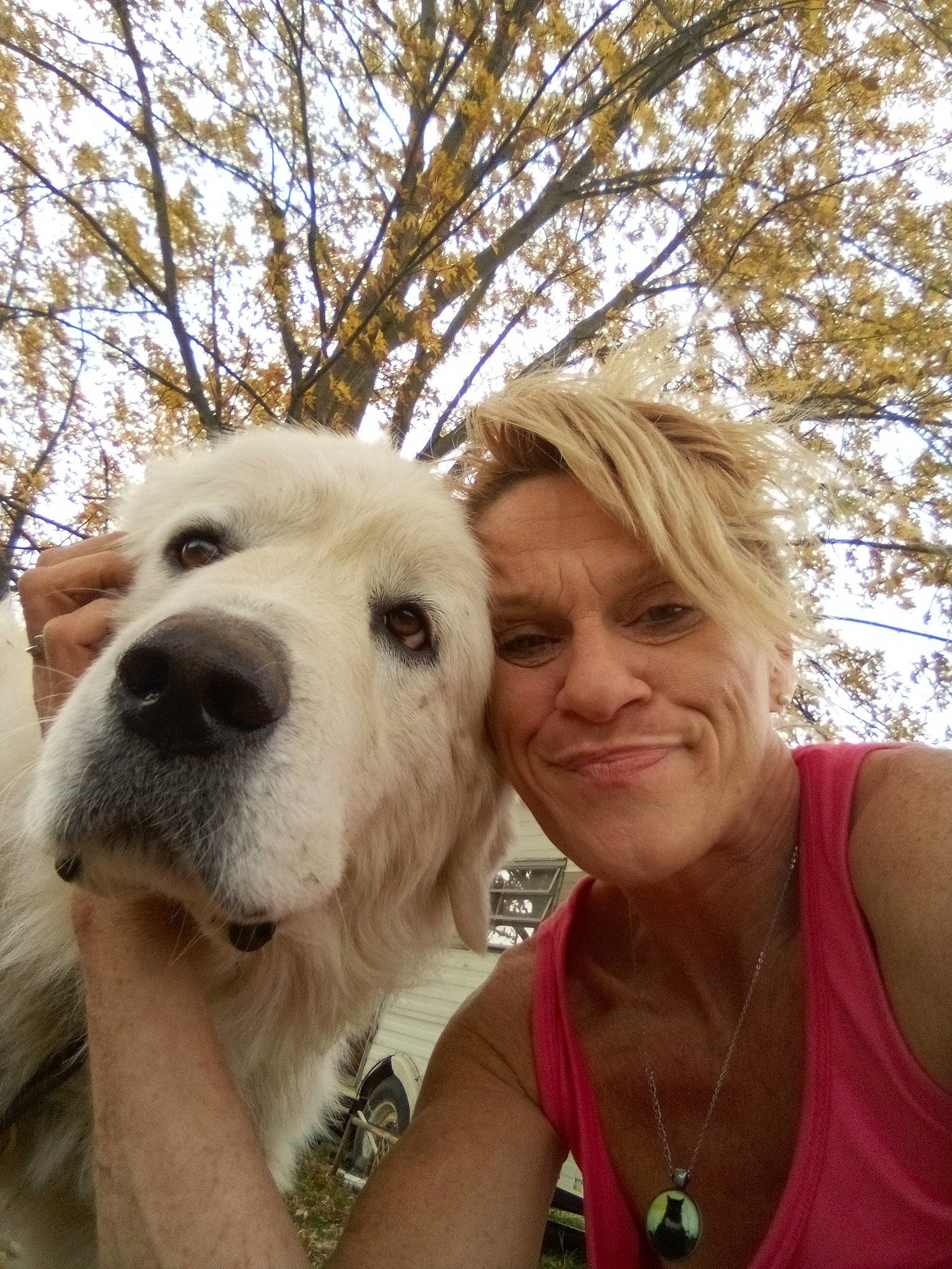 Boo joined the competition — help win amazing prizes! adventure, carnivore, companion_dog, dog, dog_breed, fawn, fun, happy, jewellery, leisure, recreation, selfie, sky, smile, sporting_group, t_shirt, travel, tree, vest, working_animal