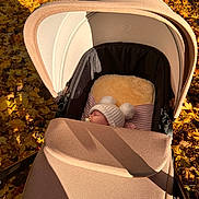 Madelyne is registered to the contest to win money with this photo: baby, stroller, autumn, leaves, hat, sleeping, pacifier, outdoor, sunlight, blanket, cozy, child, nature, fall, shade, warm, season, park, infant, resting
